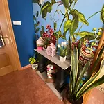 Monica Hostel