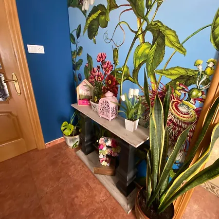 Monica Hostel